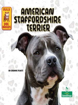 cover image of American Staffordshire Terrier